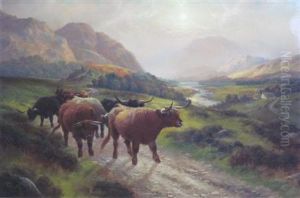 Highland Cattle In Glen by Henry R. Hall