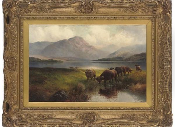 Highland Cattle, Loch Venachar, Perthshire - view 1