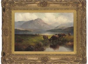 Highland Cattle, Loch Venachar, Perthshire