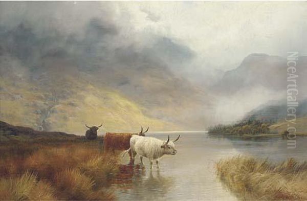 Children Of The Mist - view 1