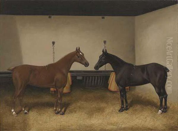 Stable Companions - view 1