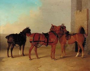 Saddled Horses In A Castle Yard
