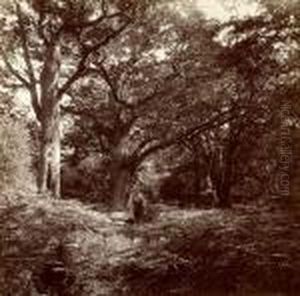 Le Chene Bodmer, Foret De Fontainebleau Le Chene Bodmer, Foret De Fontainebleau