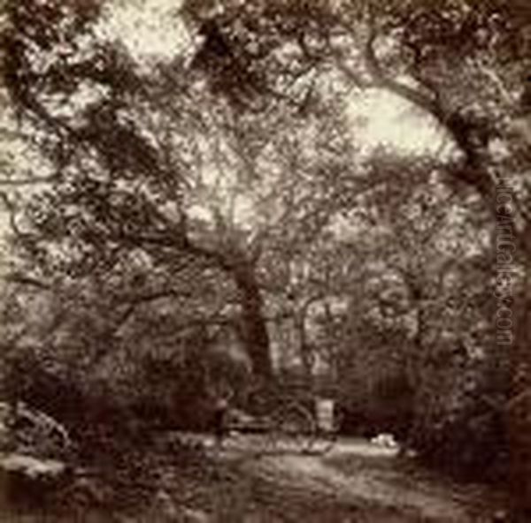 Chemins Et Impasses Dans La Foret De Fontainebleau - view 1