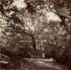 Chemins Et Impasses Dans La Foret De Fontainebleau by William Harrison