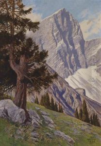 "south Wall Of The Dachstein" by Bruno Hess