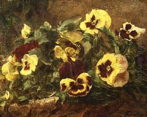 Pansies
