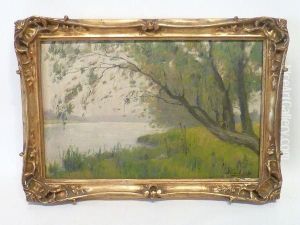 Saules Penches Sur Les Bords De La Meuse A Eysden