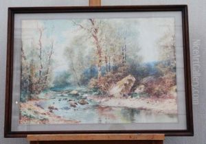Riviere En Foret by Charles Jaffeux