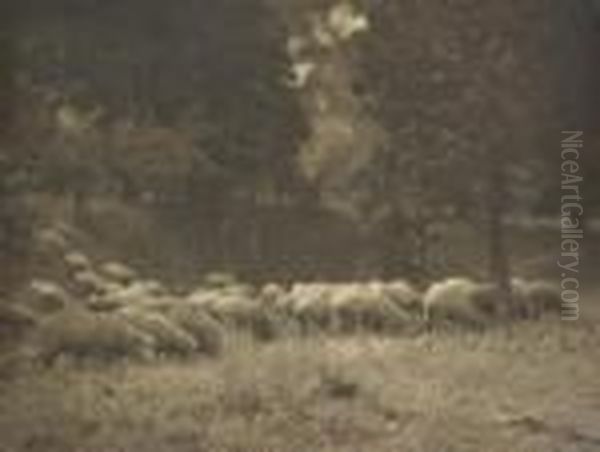 Sheep Grazing Silver Gelatin Photograph Signed 'j. Kauffmann' Lower Right 28 X 37cm - view 1