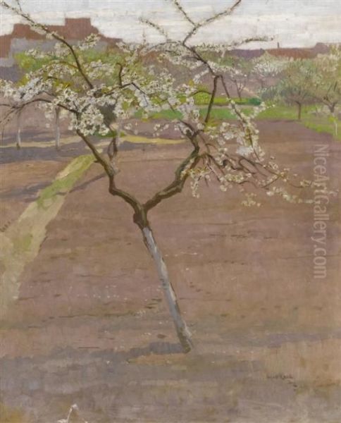 Fruit Tree In Blossom - view 1