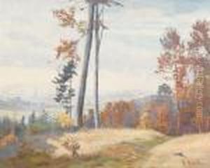 Herbstlicher Waldsaum Auf Dem Gurten Mit Blick Auf Bern