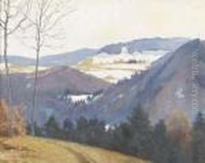 Schneeschmelze Am Gurten by Robert Kiener