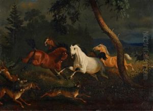 Wildpferde Und Wolfe