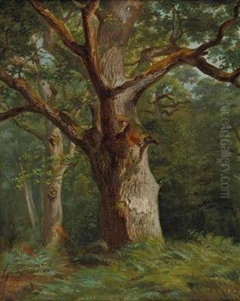 "laubwald" - view 1
