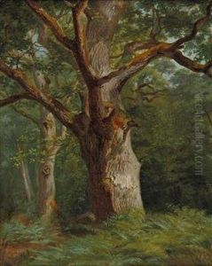 "laubwald" "laubwald"