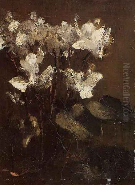 Fleurs, cyclamens - view 1