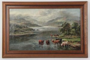 Highland Cattle Watering By The Edge Of A Loch