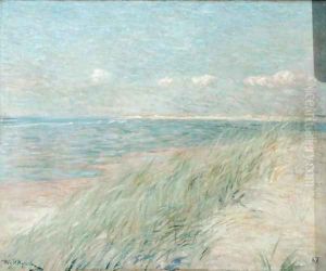 Les Dunes du Zwin, Knokke, 1887 by Theo van Rysselberghe