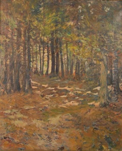 A Trail In The Woods, Macmahan Island, Maine - view 1