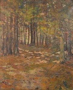A Trail In The Woods, Macmahan Island, Maine by Philip Little