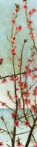 Blossoming Pink Branches by Charles Caryl Coleman