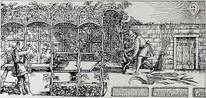 Arbour being built as a shade against the sun from The Gardeners Labyrinth