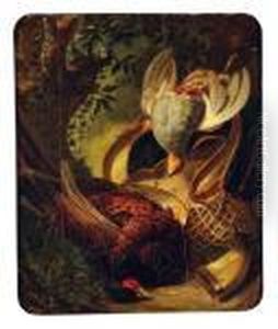 Nature Morte Du Trophees De Chasse by Charles Alexis Malapeau