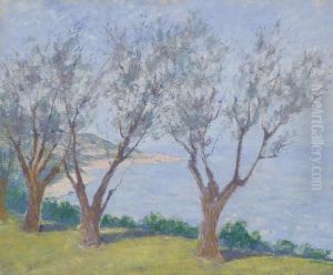 Paesaggio Con Ulivi