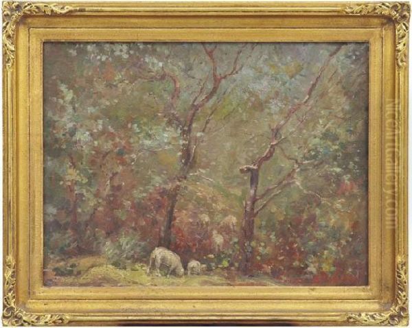Grazing Sheep - view 1