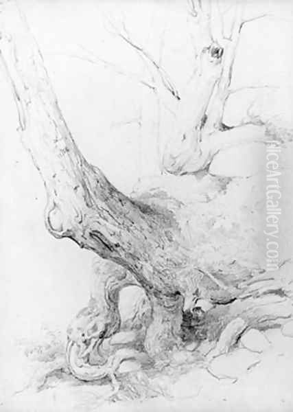 Sketch from Nature - view 1