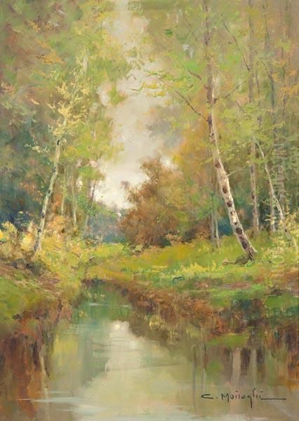 Fiume Nel Bosco - view 1