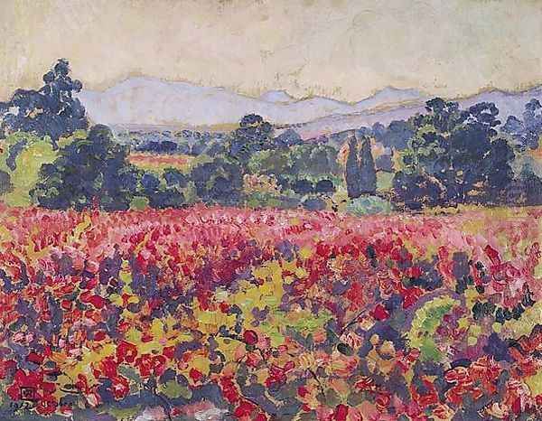 Les vignes a Saint-Clair - view 1
