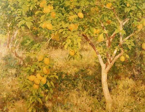 The Lemon Tree, 1893 - view 1