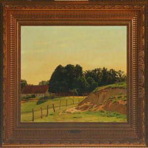 Summer Landscape By A Farm Summer Landscape By A Farm