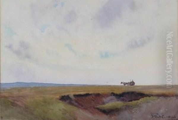 Wiltshire Landscape - view 1
