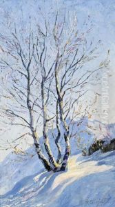 Birken by Rodolfo Olgiati