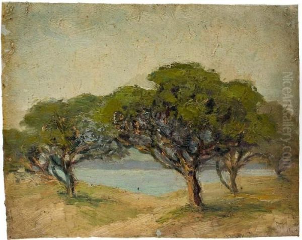 Landscape With Trees And Water - view 1