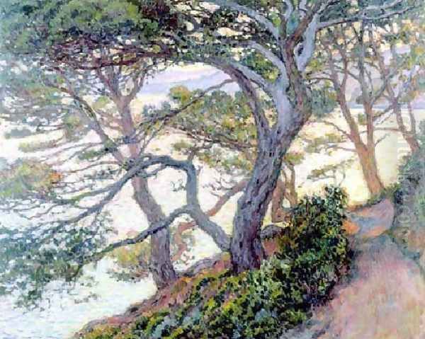 The Pines Of Rayol - view 1