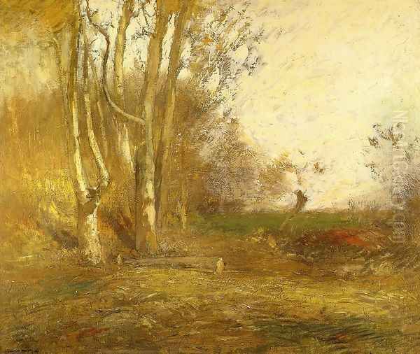 Woods Clearing - view 1