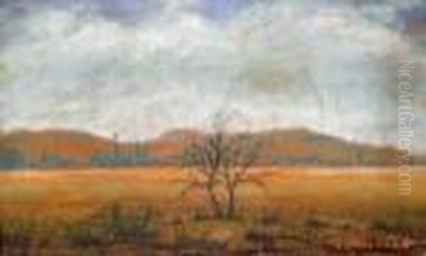 Landscape - view 1