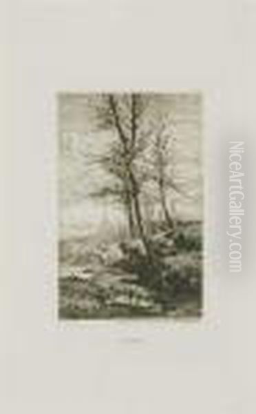 Automne - view 1