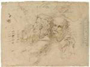 Deux Tetes D'hommes Barbus
