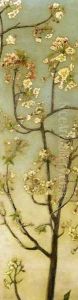 Blossoming White Branches by Charles Caryl Coleman