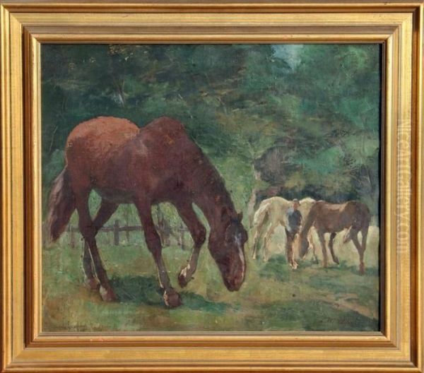Horses In Pasture - view 1