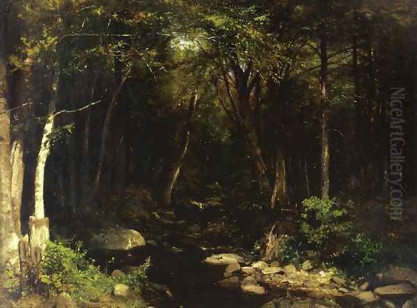 Woodland Stream - view 1