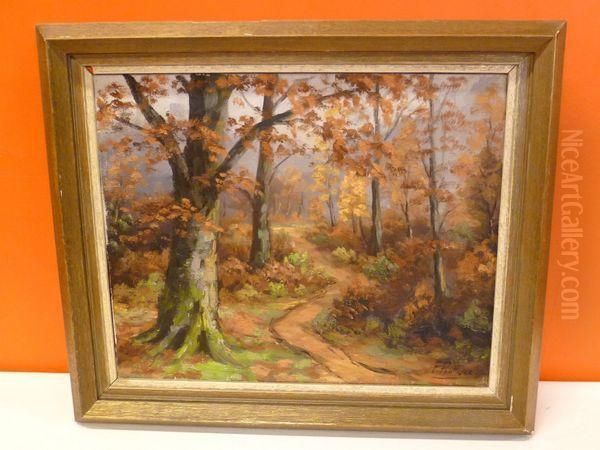 Sous-bois - view 1