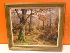 Sous-bois