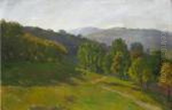 Peisaj - view 1