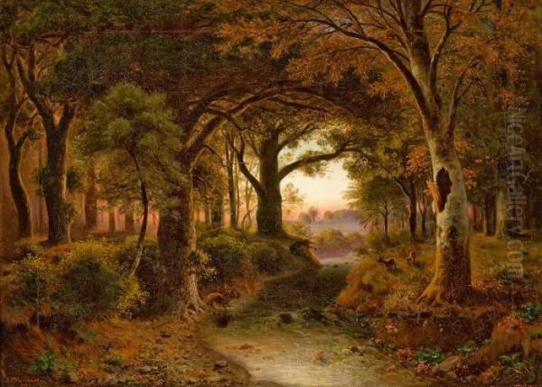 In The Forest - view 1